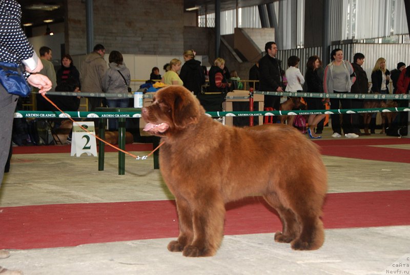 Фотография № 121448