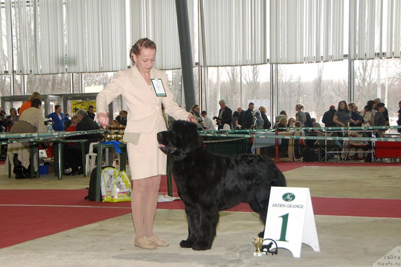 Фотография № 121462