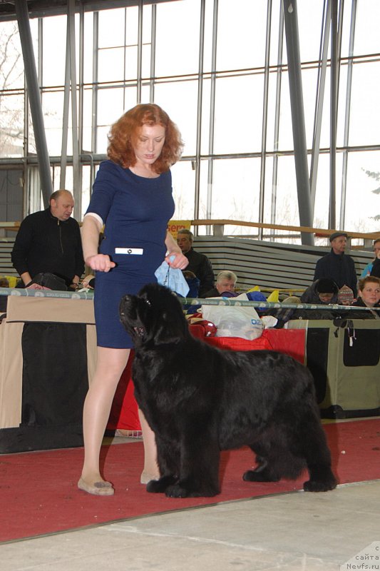 Фотография № 121472