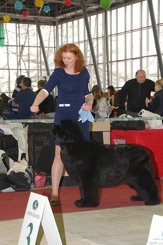 Фотография № 121474