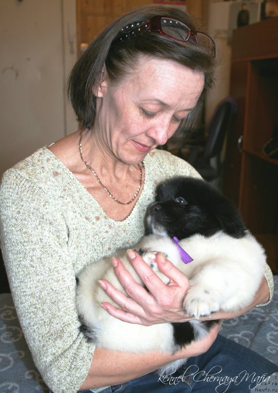 Фотография № 121475