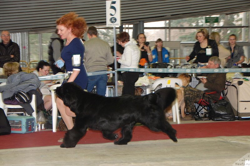 Фотография № 121476