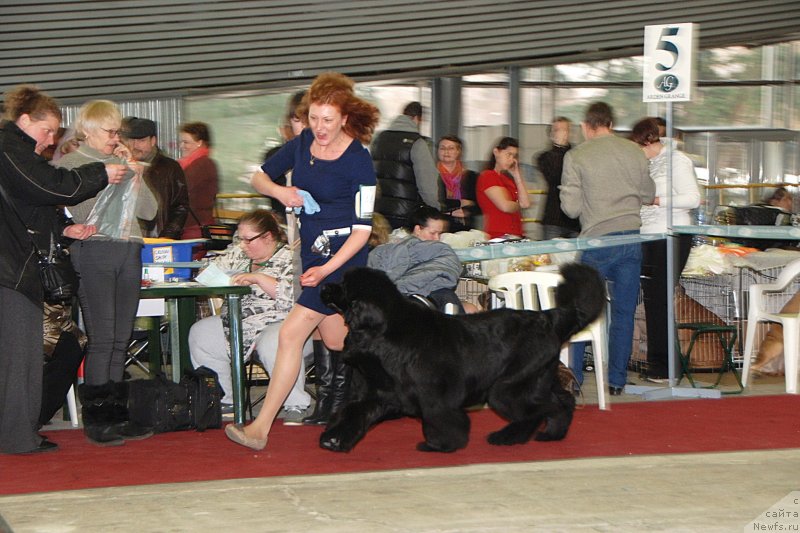 Фотография № 121478