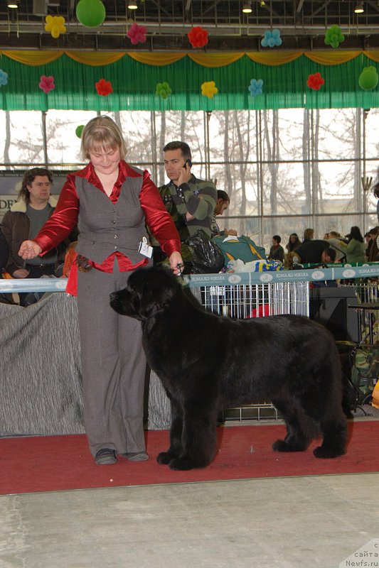 Фотография № 121481