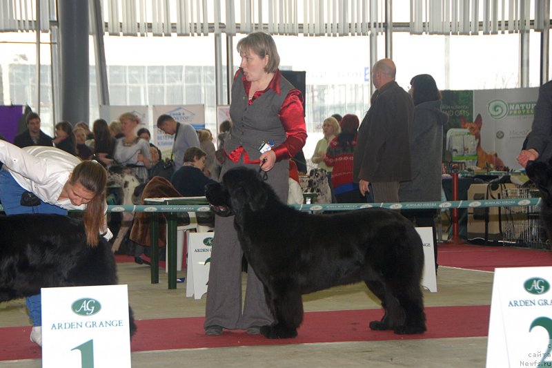 Фотография № 121486