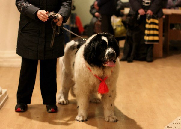 Фотография № 121518