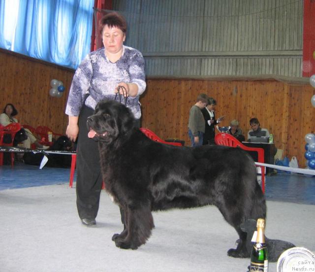 Фотография № 12153