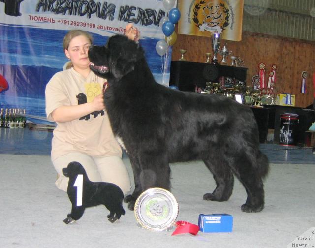 Фотография № 12155