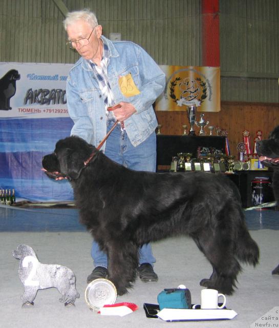 Фотография № 12156