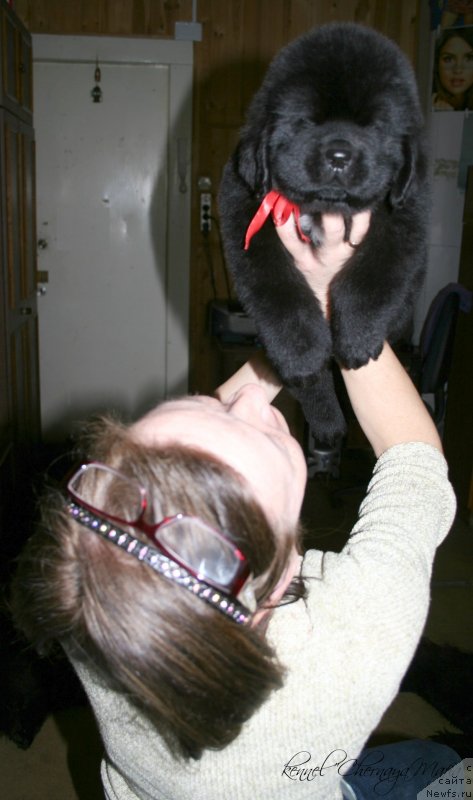 Фотография № 121617