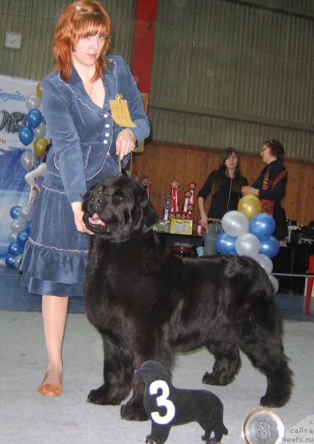 Фотография № 12162