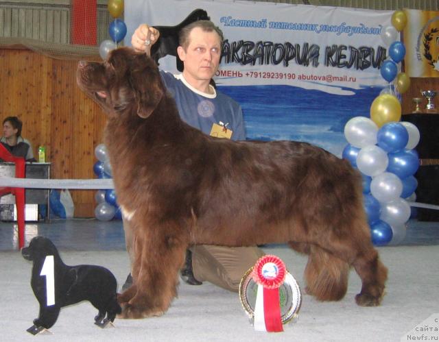 Фотография № 12164