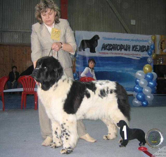 Фотография № 12167