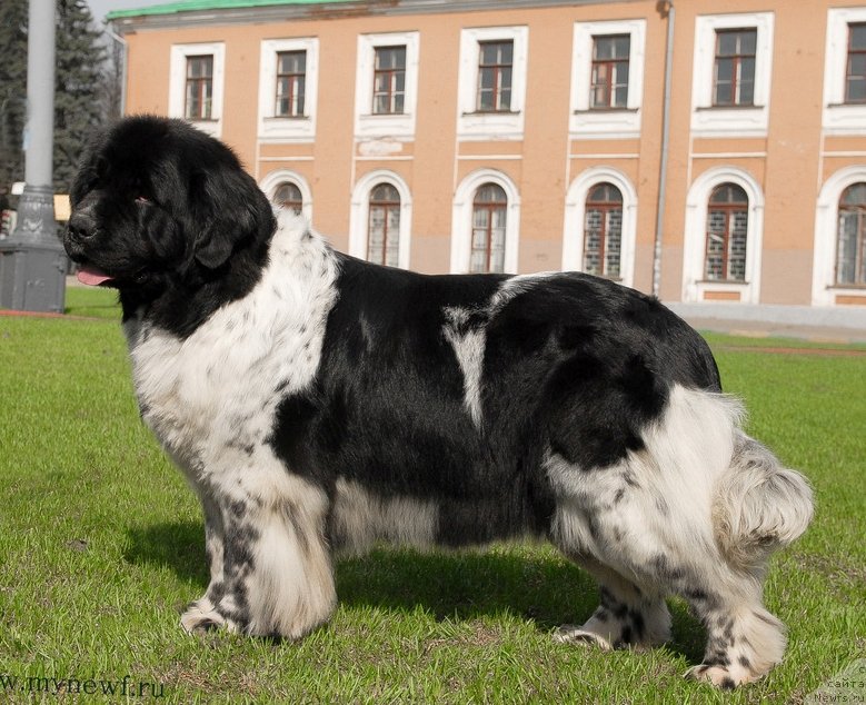 Фотография № 121697