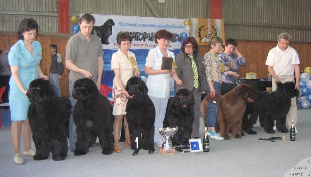 Фотография № 12172