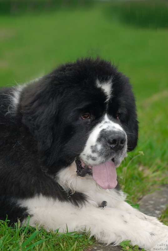 Фотография № 121728