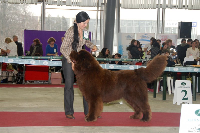 Фотография № 121738