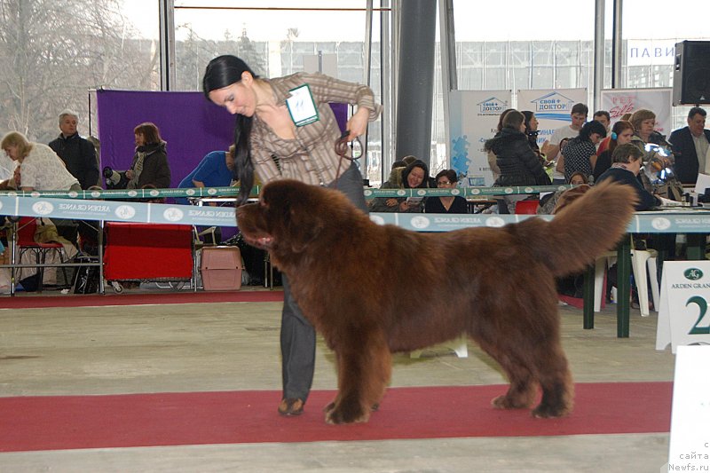 Фотография № 121739