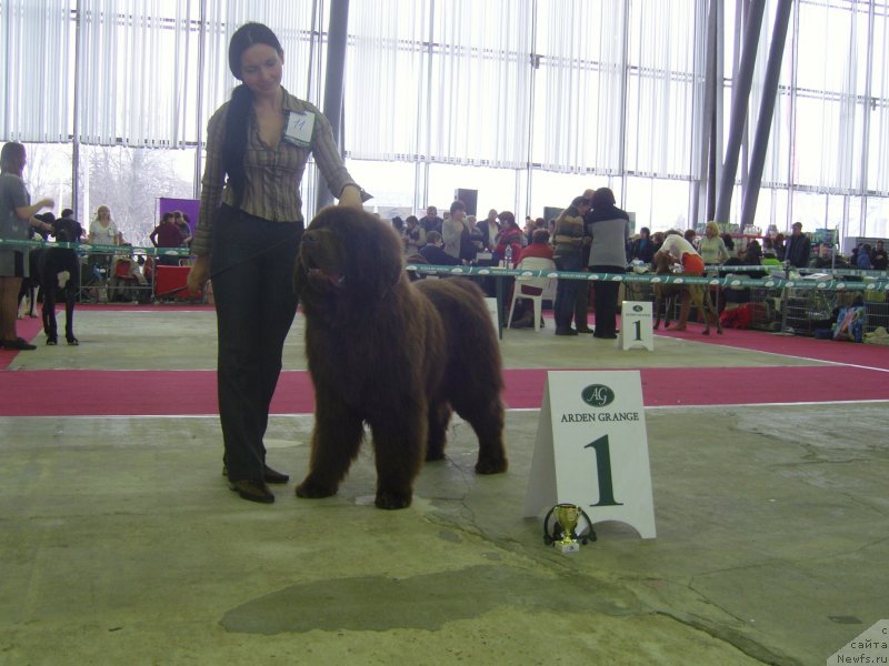 Фотография № 121744