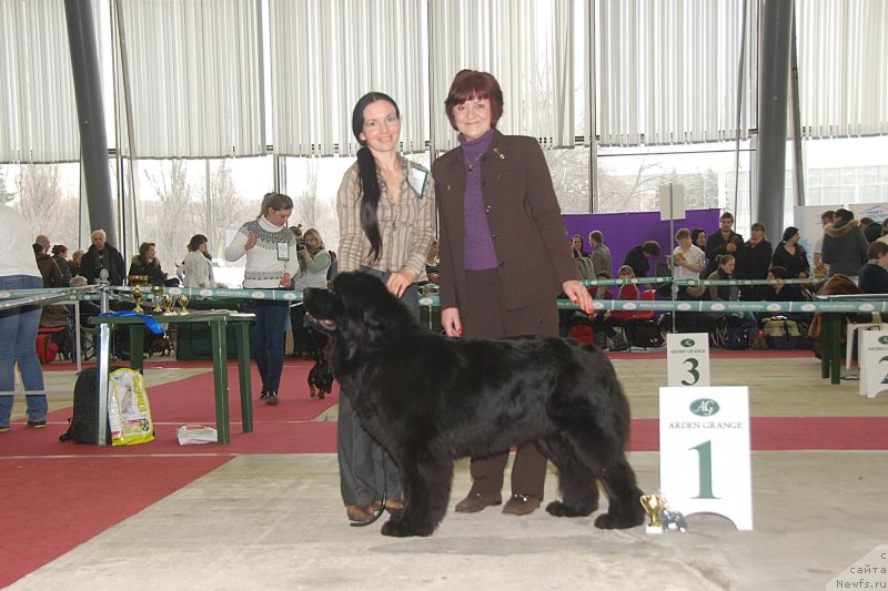 Фотография № 121745