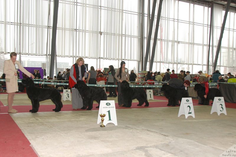 Фотография № 121746