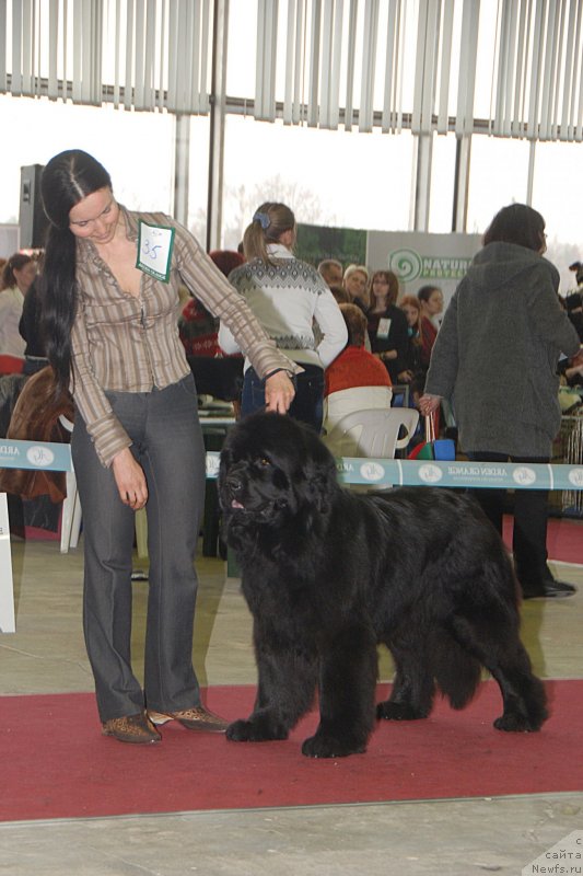 Фотография № 121760