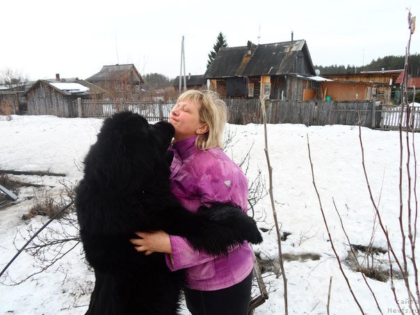 Фото: Lena Zyirina (Лена Зырина), ньюфаундленд Valensiya CHernaya Jemchujina (Валенсия Черная Жемчужина)