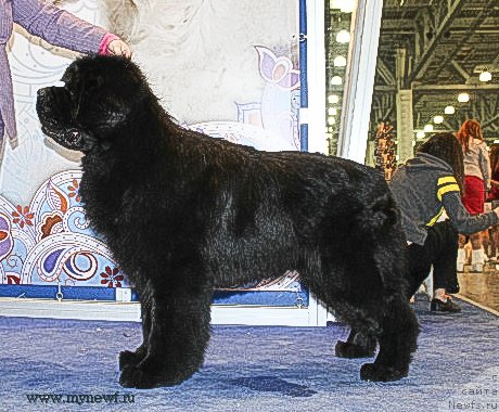 Фотография № 121884