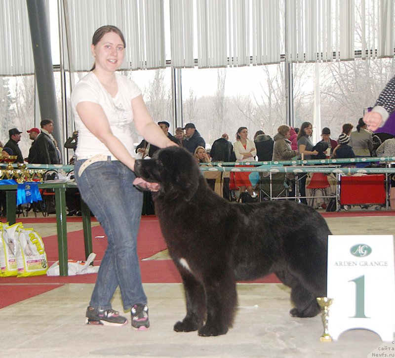 Фотография № 121888