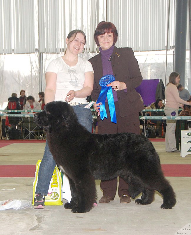 Фотография № 121891