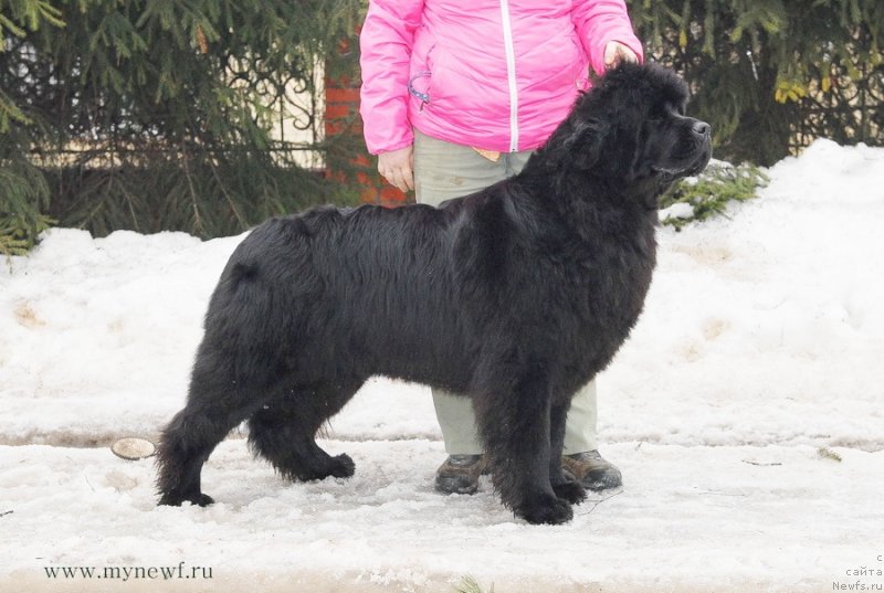 Фотография № 121895