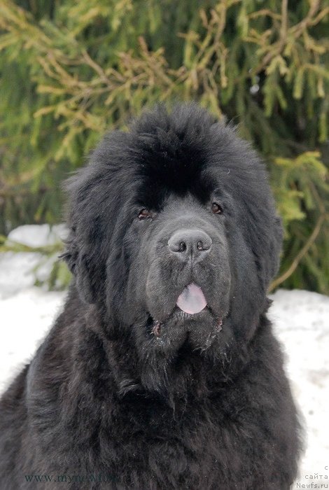 Фотография № 121900