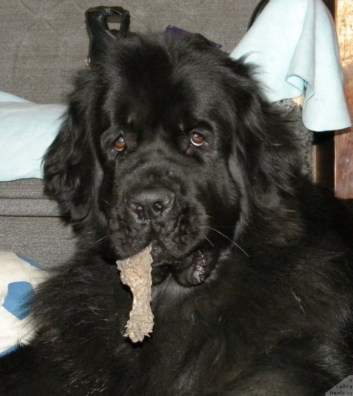 Фотография № 121956