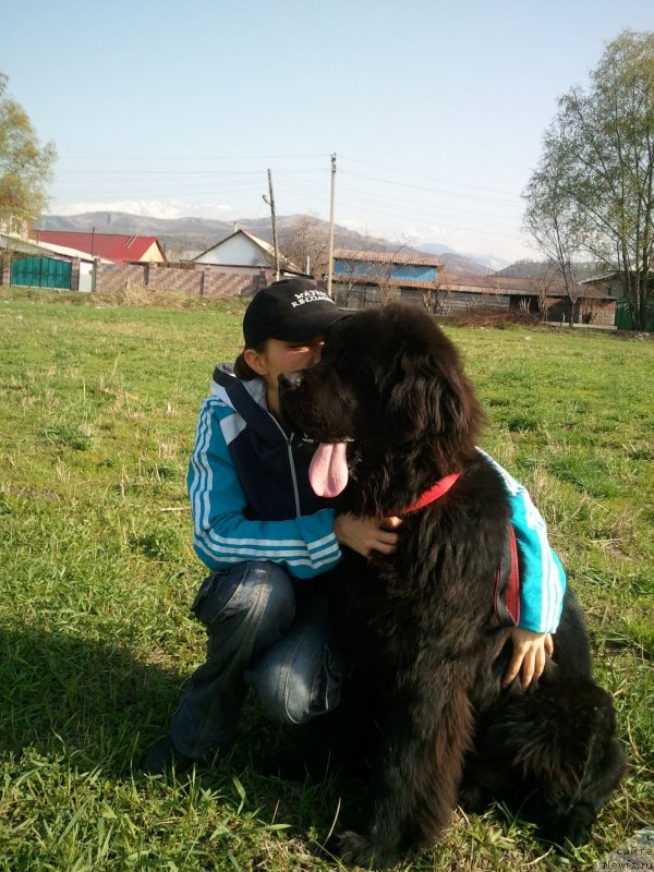 Фотография № 121962