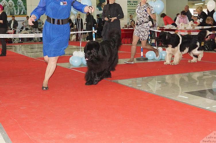 Фотография № 121964