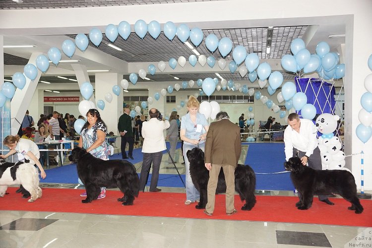 Фотография № 121965