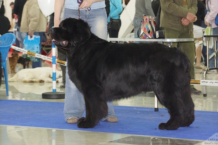 Фотография № 121966