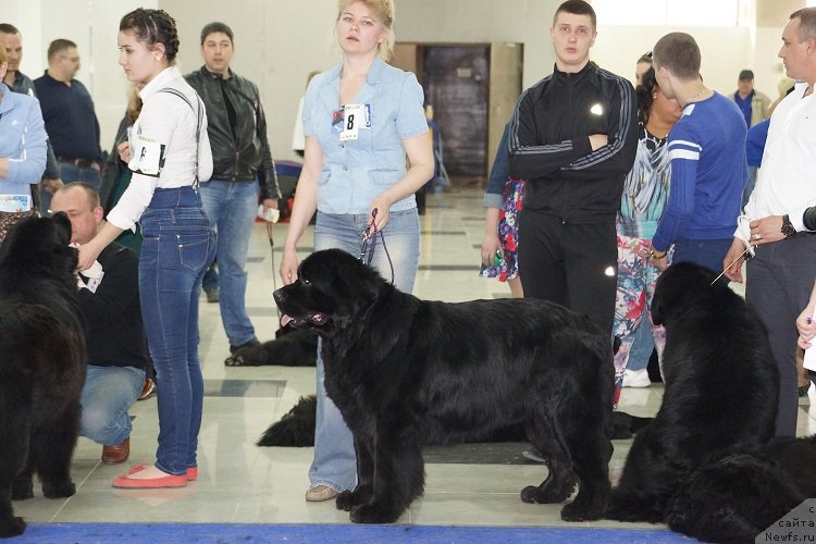 Фотография № 121967