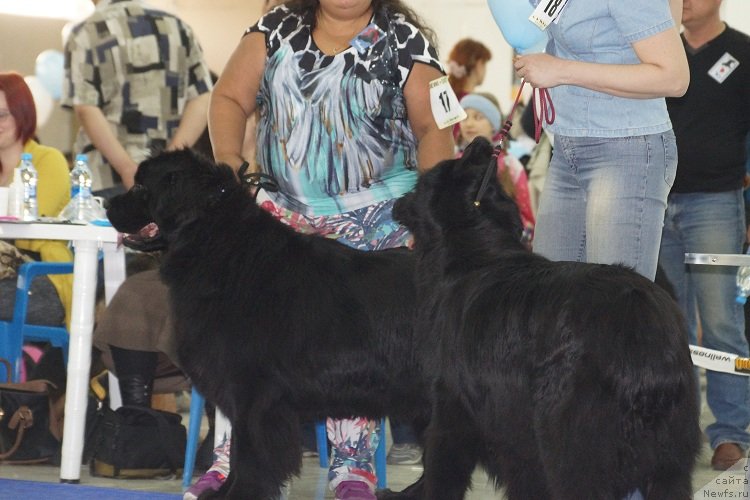 Фотография № 121970