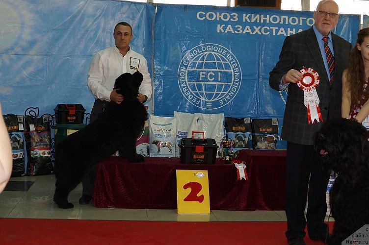 Фотография № 121972