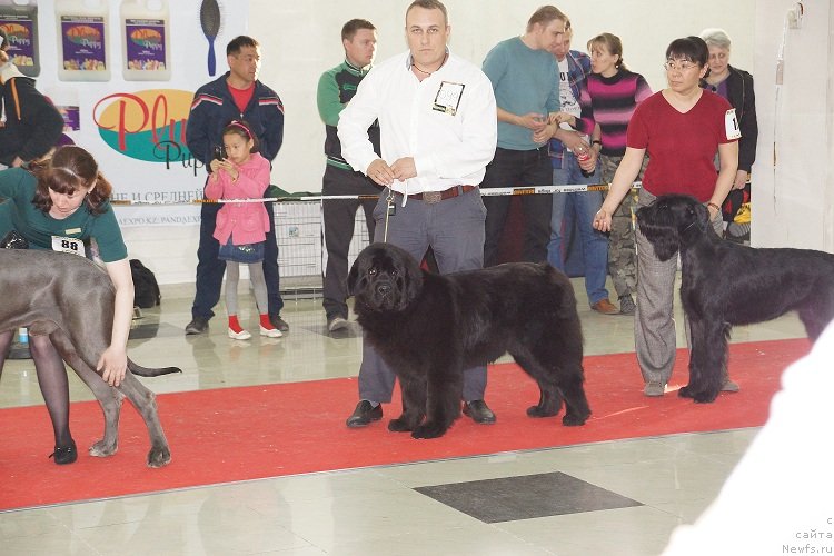 Фотография № 121973