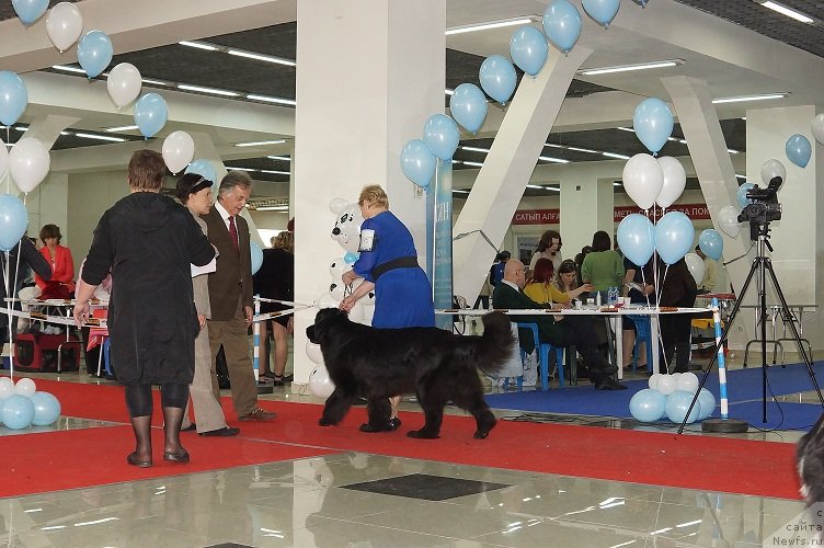 Фотография № 121974