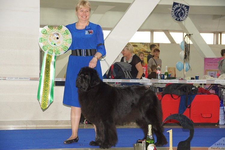 Фотография № 121975