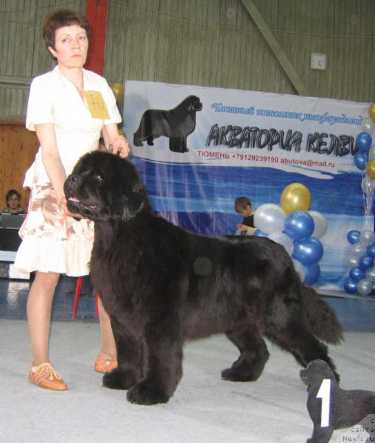 Фотография № 12198