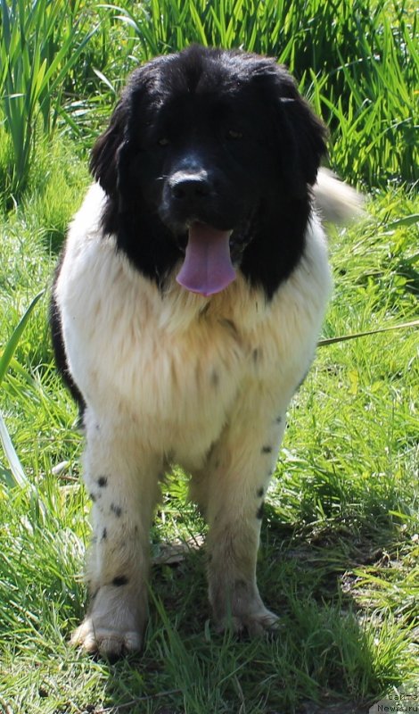 Фотография № 122052