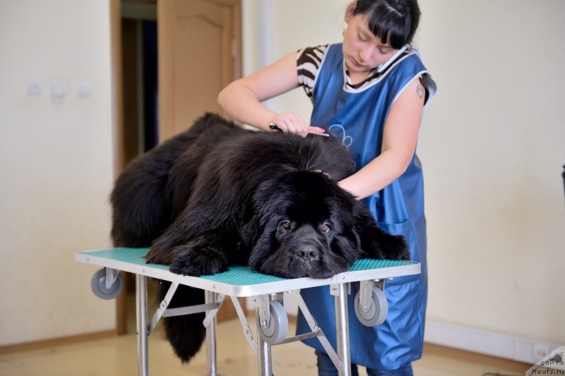 Фотография № 122084