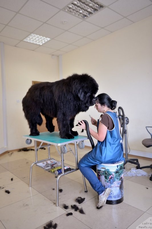 Фотография № 122089