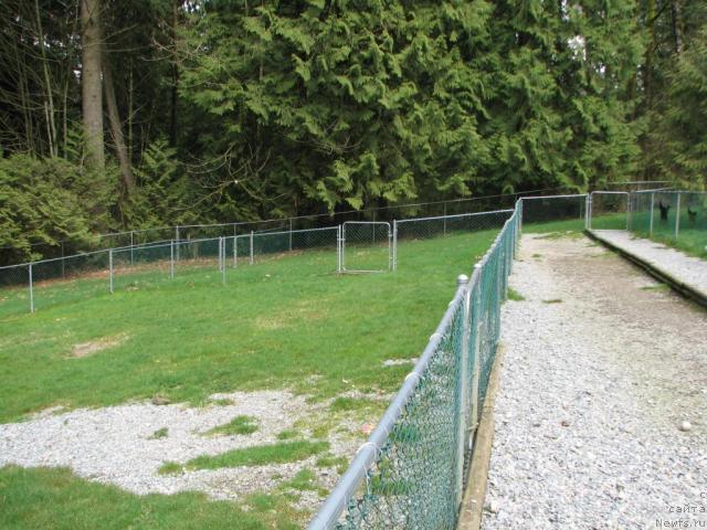 Фотография № 12212