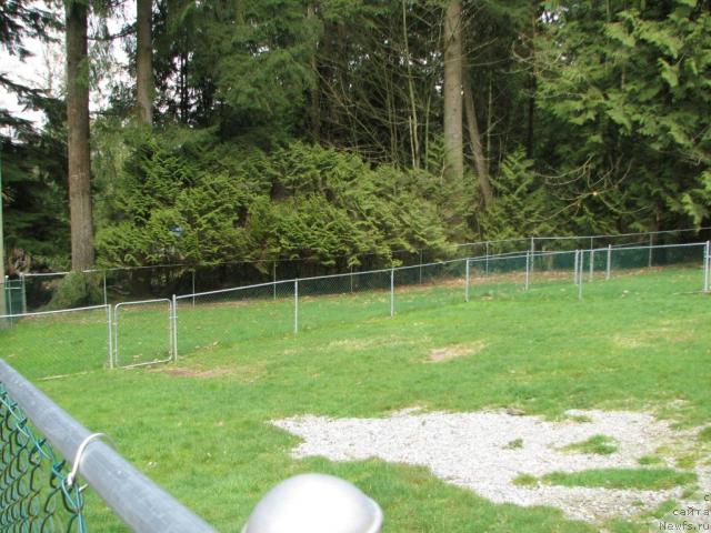 Фотография № 12213