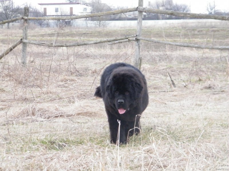 Фотография № 122153